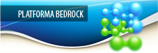 Platforma Bedrock Essentials